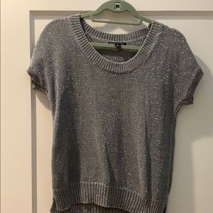 Banana Republic Silver Sparkle Short Sleeve Knit